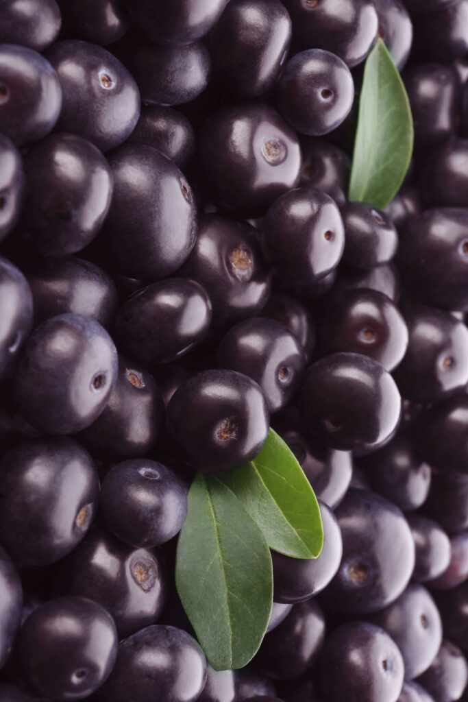 Venice ACAI - Acai Berries - Venice FL